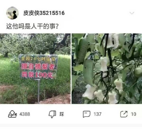 ˵ʵΪɶҰ֡