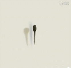 ܵġ̬ ????[ѧ]