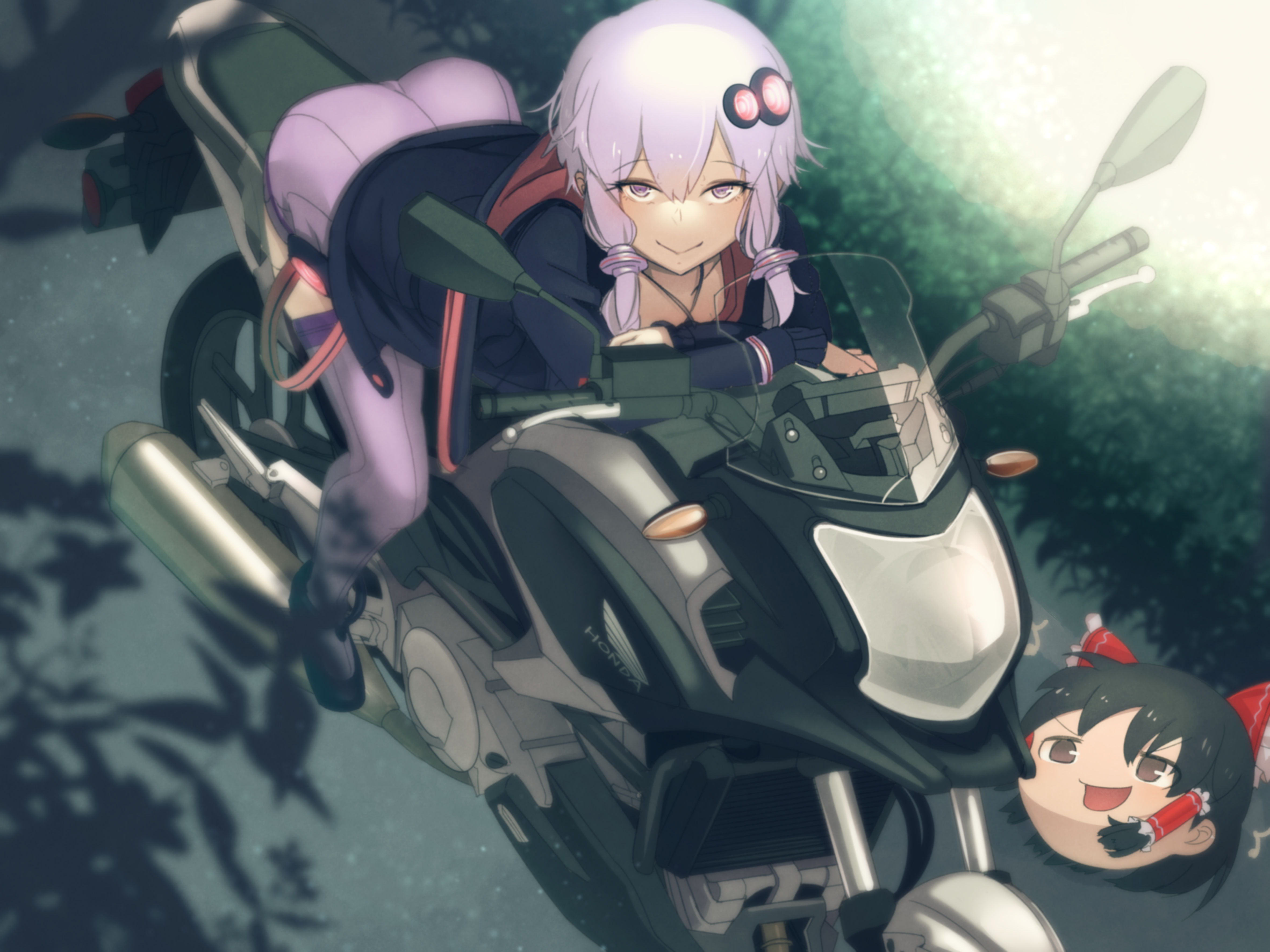 id=64463616.jpg