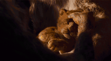 e69f53aa81154cb2ee8e89c8e70250c6.gif