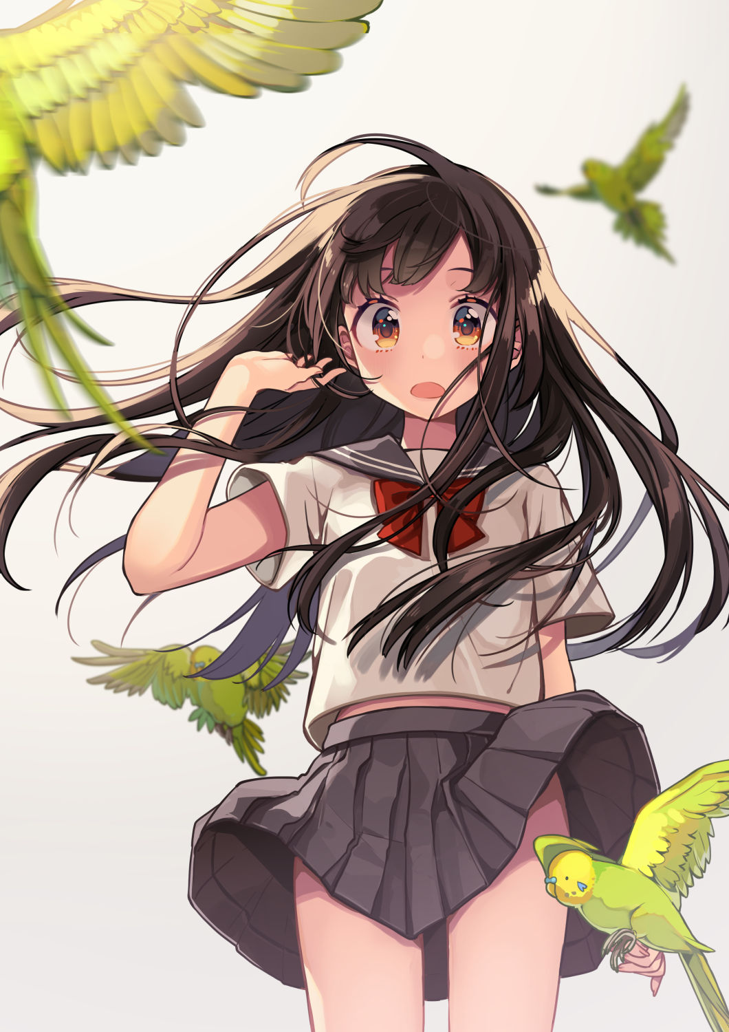 id=59535407.jpg