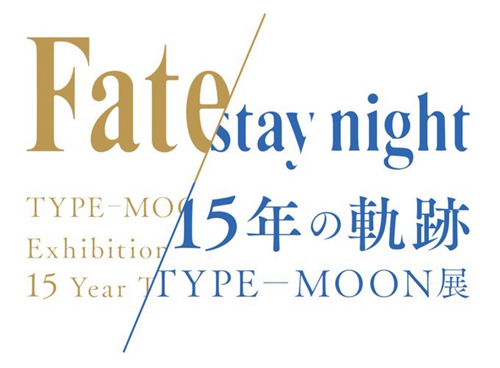 FSN 15 󻮣ŤߡֻϷ 2019 궬