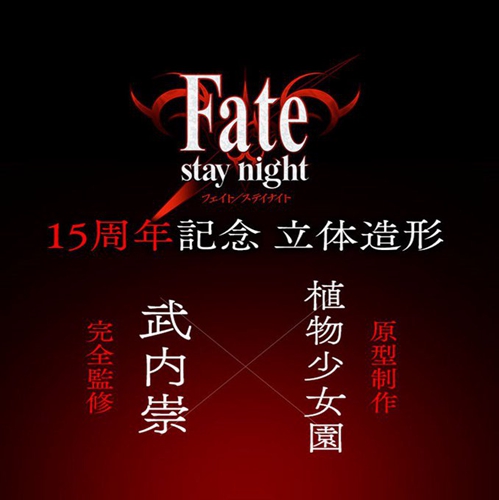 FSN 15 󻮣ŤߡֻϷ 2019 궬