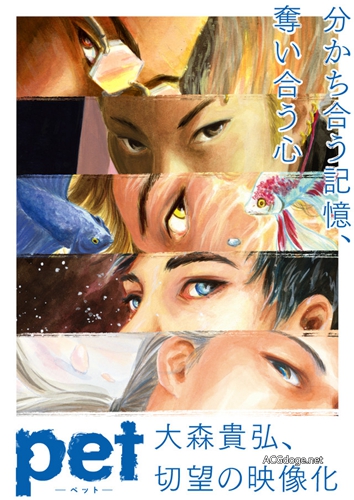 ˵ļ䣬լPETTV Ӿͼ