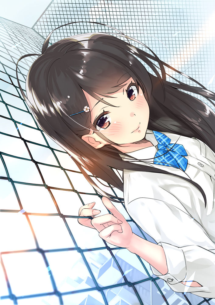 id=56972664.jpg