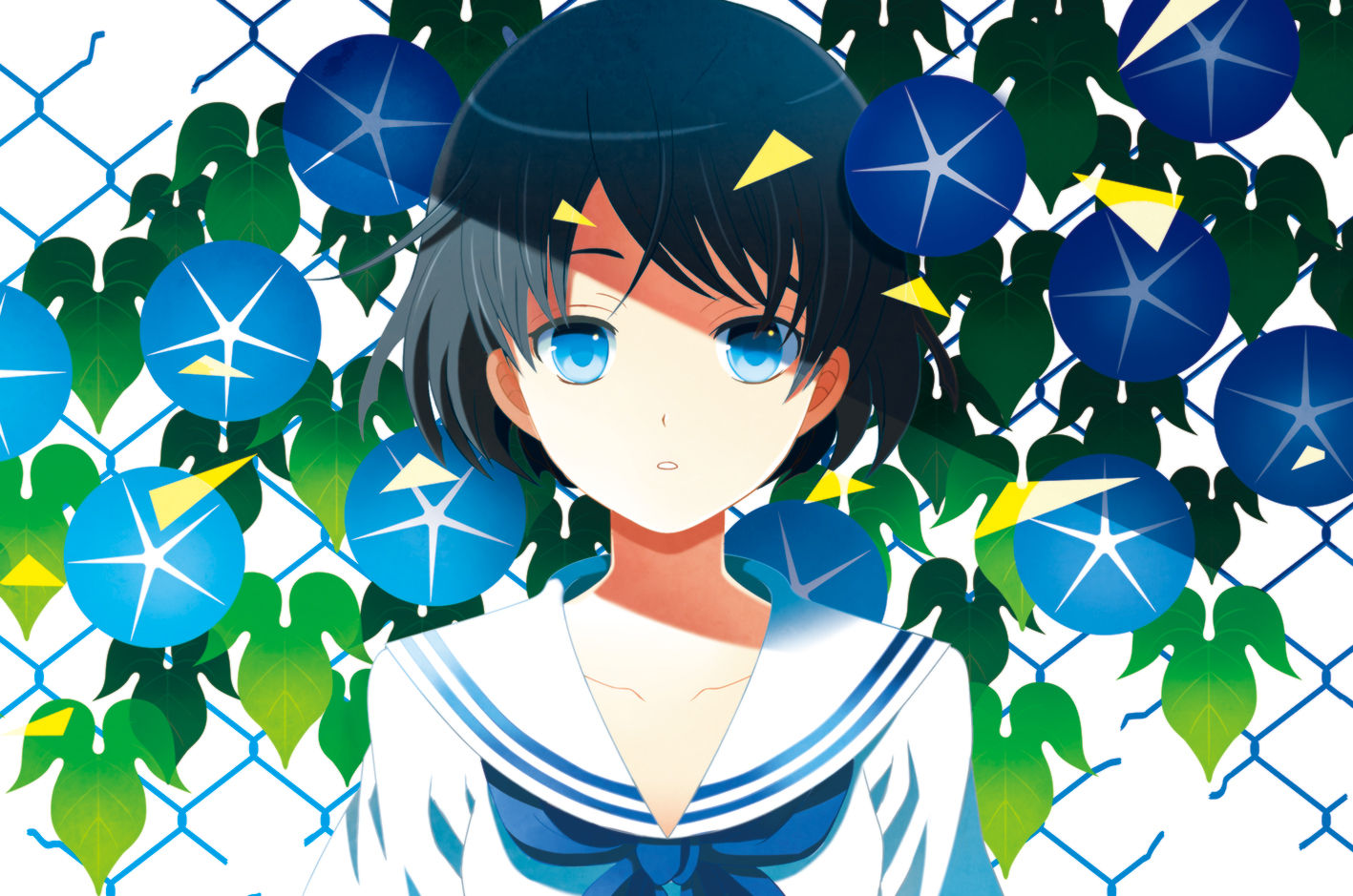 id=50003717.jpg