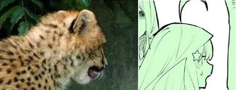 ͼƬ7