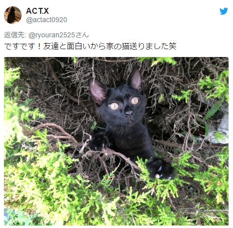 ѹͼ1908231522_3.png