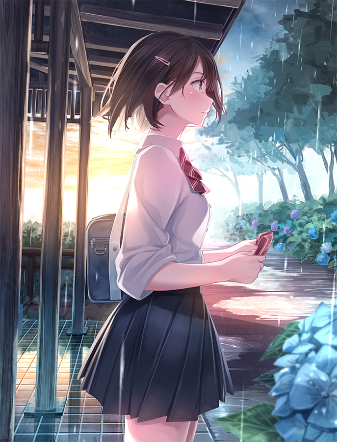 id=53854335.jpg