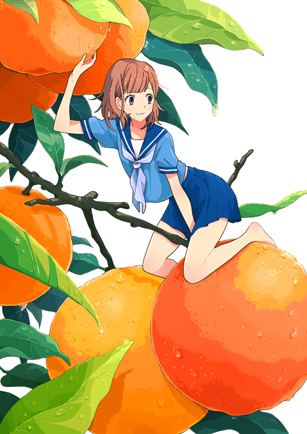 id=45116733.jpg