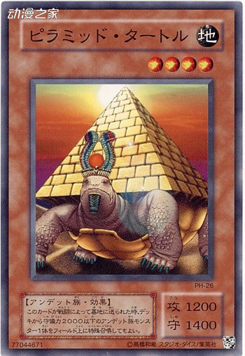 .jpg