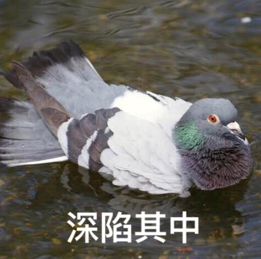 QQͼƬ20191012160502.jpg