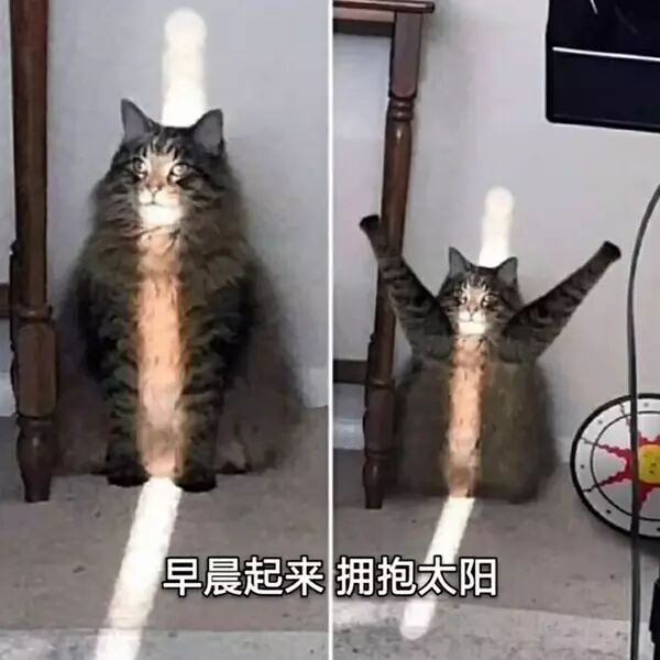 TIMͼƬ20191031103619.jpg