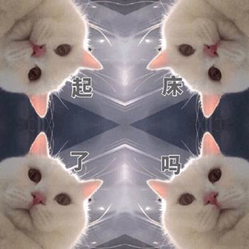 ab013a76155855fc686eb62a073952b8.gif