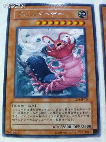 .jpg