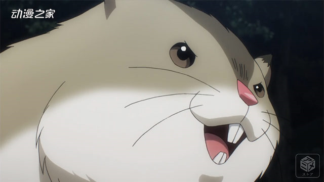 kazoku_img52_20191206.jpg