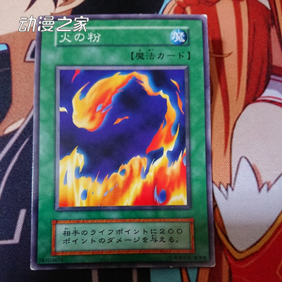 .jpg