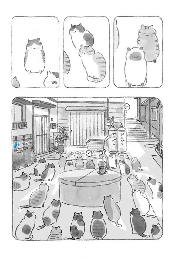 14.jpg