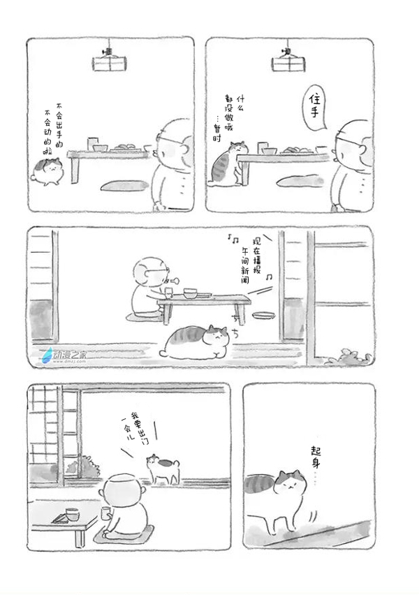 10.jpg