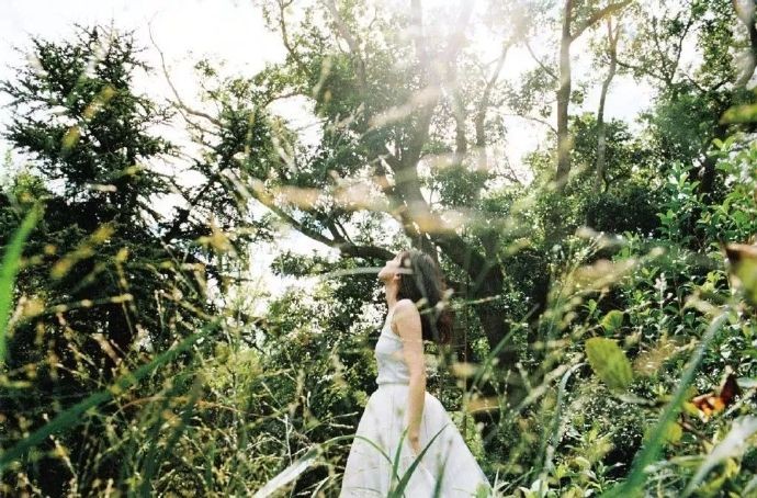 ԫµд漯YUI ARAGAKI NYLON JAPAN ARCHIVE BOOK 2010-2019ձһϼܾͱ