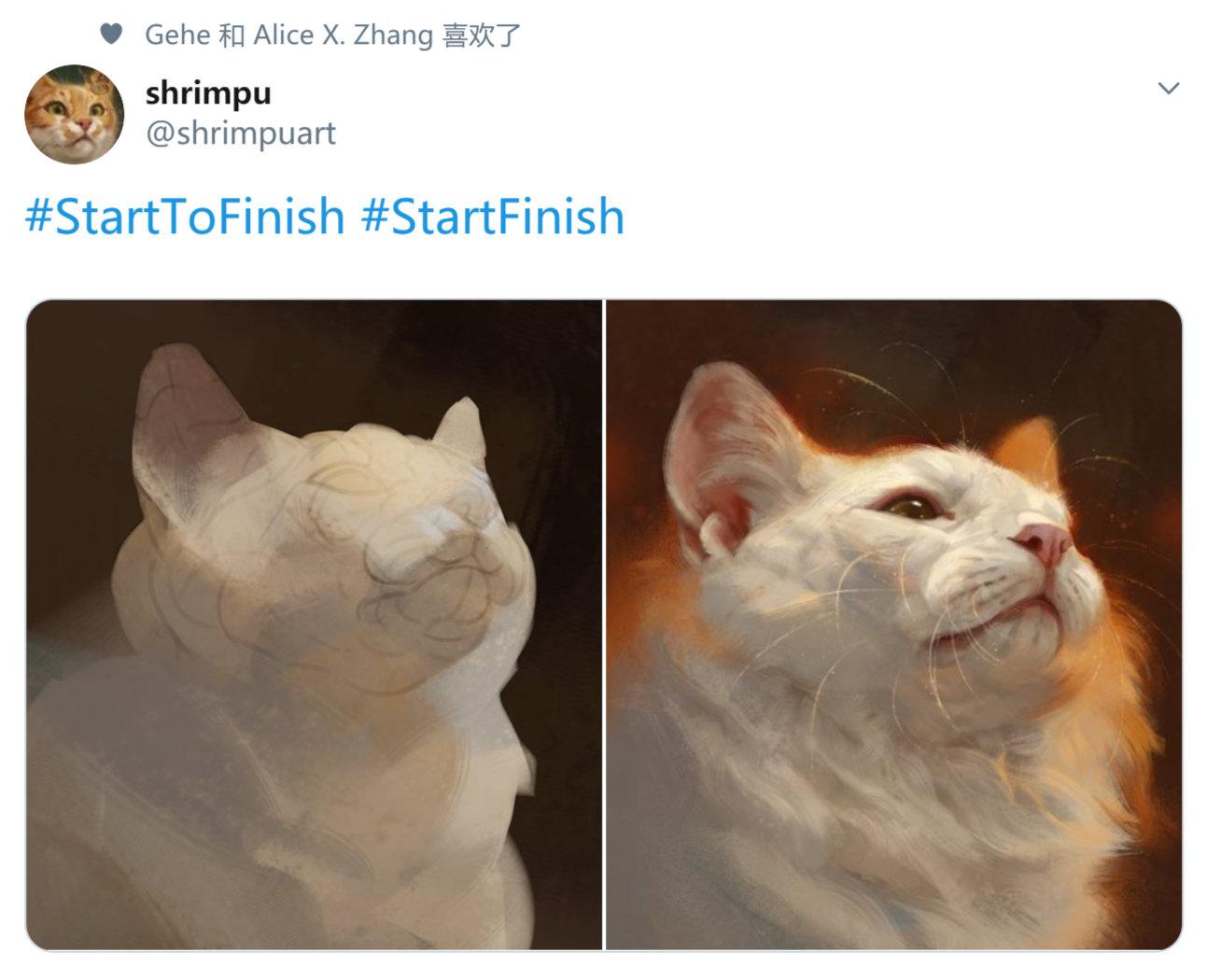 ŻStartToFinishҺʹֻڵ