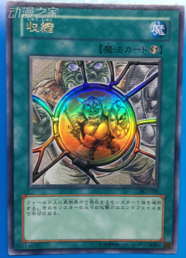 .jpg