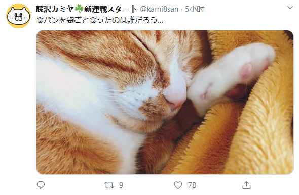 8H~EIP45)G9LO4GV52`MXOM.jpg