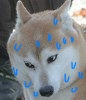 AG7B8PHP(@0J0Q3E51~X6%D.png