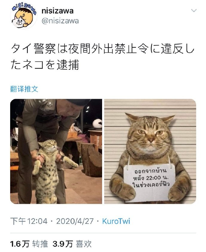 ̩һֻΥҹè[ʱ][ʱ]twi: nisizawa ????