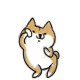 {C_DMU{LCA2YU~N_L)13TQP.gif
