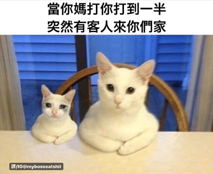 ʵ ????