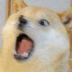 PYUXNA_)F]T`J8DIZ97T0XH.png