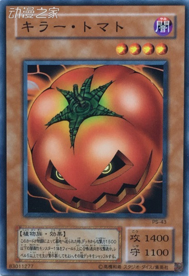 .jpg