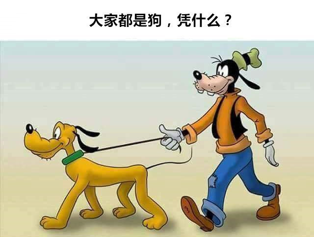 Сʱ򿴵ĶƬ߼ʱúܶ԰