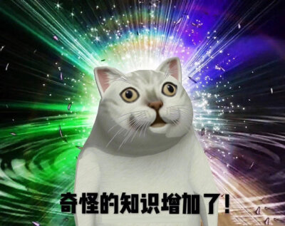 42c781ef21f6d28f8d5b076a0f71739d.jpg