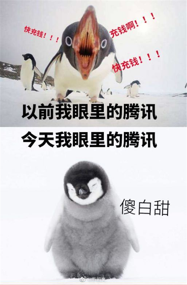 006AGHzZly1ggblyjiap3j30e90lr3zi.jpg