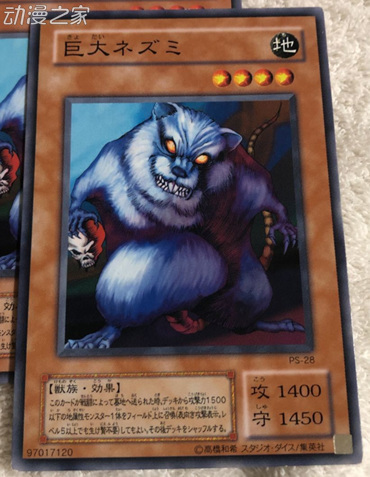 ޴.jpg