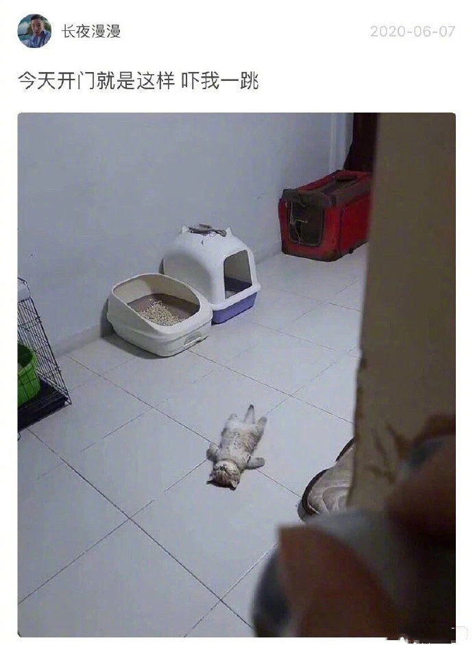 һΪˡ