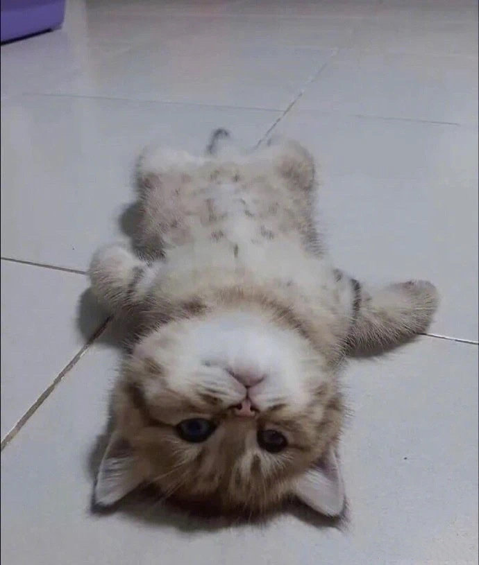 һΪˡ