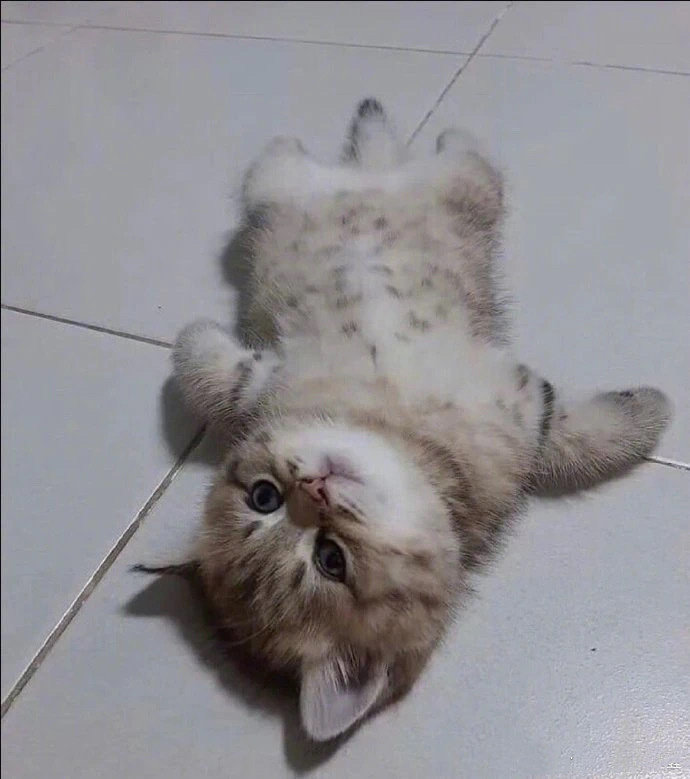 һΪˡ