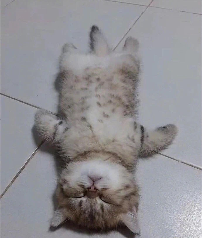 һΪˡ