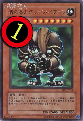 -.jpg