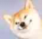 NXI_LKWG@8ZFY%L)UR`)YVK.png