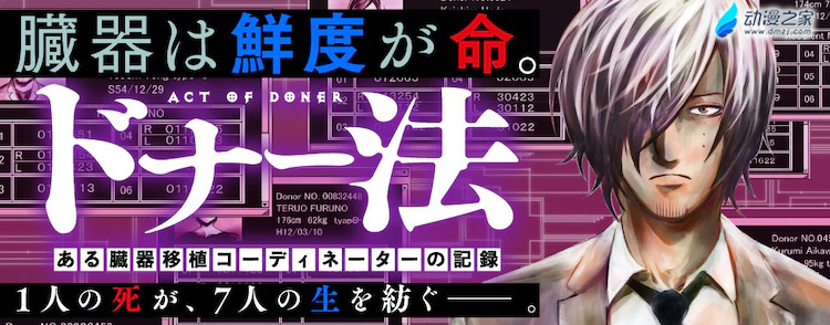 doner_main.webp.jpg