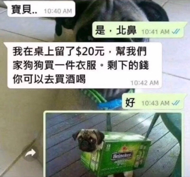 ӣ ????