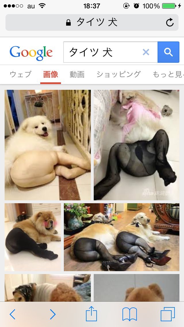 ȸ˿è롰˿๷𣬹