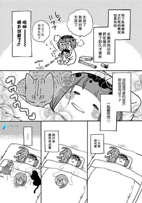 04.jpg