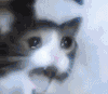 OJM]]X9GJXAYU~M$E4]ZOV7.gif