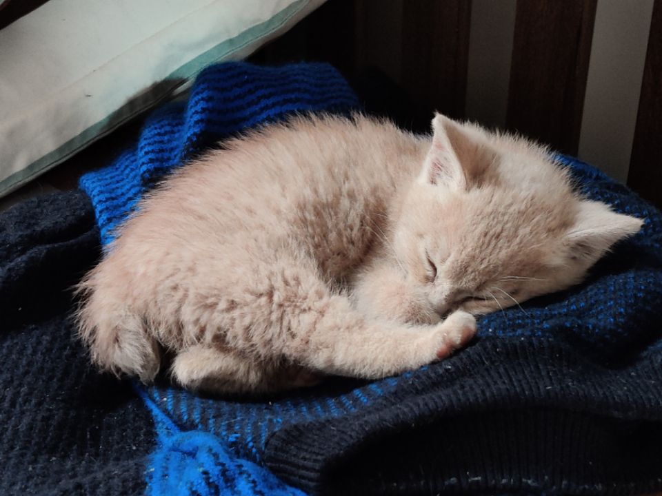 1601015277286778.jpg