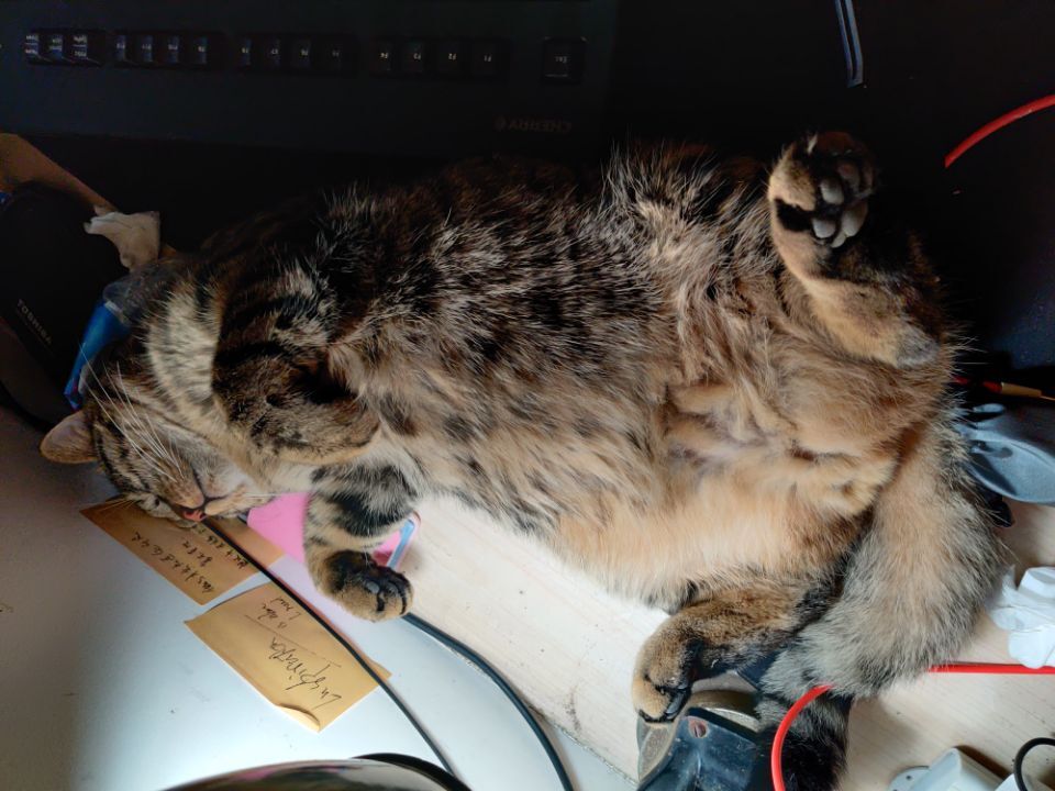 1601014466661175.jpg